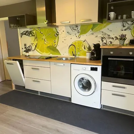 Dreilaendereck-ferienwohnung In Eschbach Apartment *