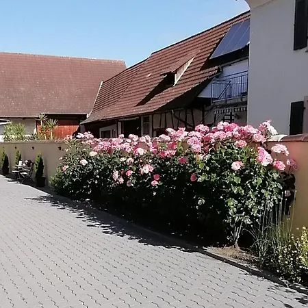 Apartment Dreilaendereck-ferienwohnung In Eschbach *