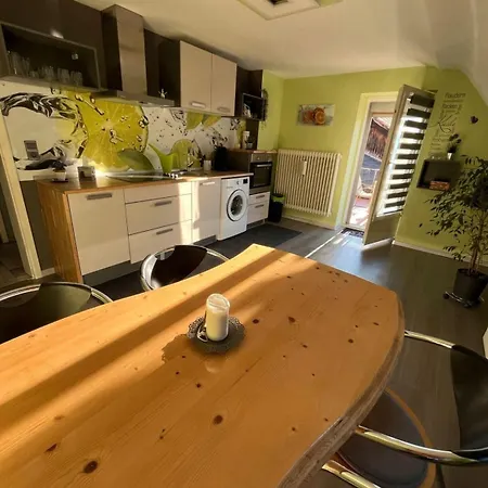 Dreilaendereck-ferienwohnung In Eschbach Apartment Eschbach (Breisgau-Hochschwarzwald)